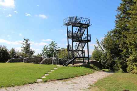 Spomladanska razstava cvetja in tulipanov(14)